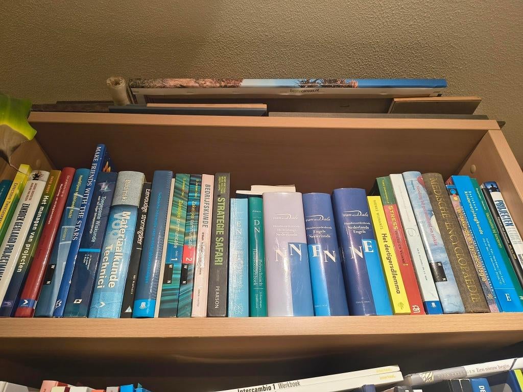 diverse boeken, Boeken, Ophalen, Zo goed als nieuw, Verschillende onderwerpen