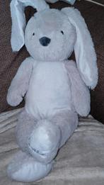 Bambino, evora, kruidvat grijs konijn, 2019., Ophalen of Verzenden, Nieuw, Konijn