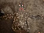 Bape Camo Hoodie Maat S, Kleding | Heren, Ophalen of Verzenden, Gedragen, Bape