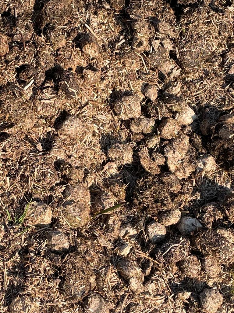 Gratis paardenmest af te halen - puur natuur!, Ophalen, Mest