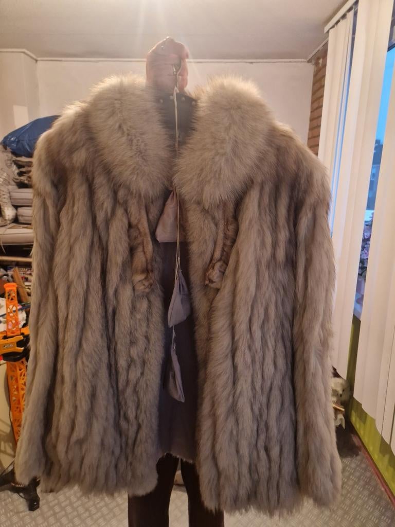 Saga Fox Bontjas Maat L - Papendrecht, Kleding | Dames, Jassen | Winter, Ophalen, Bruin, Maat 42/44 (L), Jasa Fox