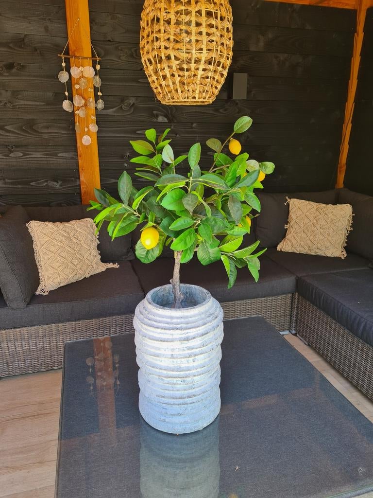 Super gave pot van PTMD, Ophalen, Zo goed als nieuw, Overige kleuren, Minder dan 50 cm