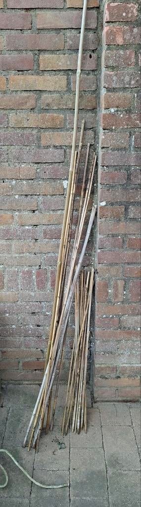 Bamboestokken, Tuin en Terras, Ophalen, Gebruikt