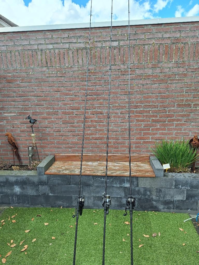 Complete karperset, Ophalen, Gebruikt, Complete set