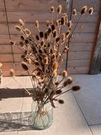 Droogbloemen boeket kaardenbol, Huis en Inrichting, Woonaccessoires | Droogbloemen, Ophalen of Verzenden