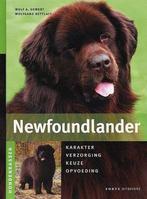 Newfoundlander, Ophalen of Verzenden, Zo goed als nieuw, Honden
