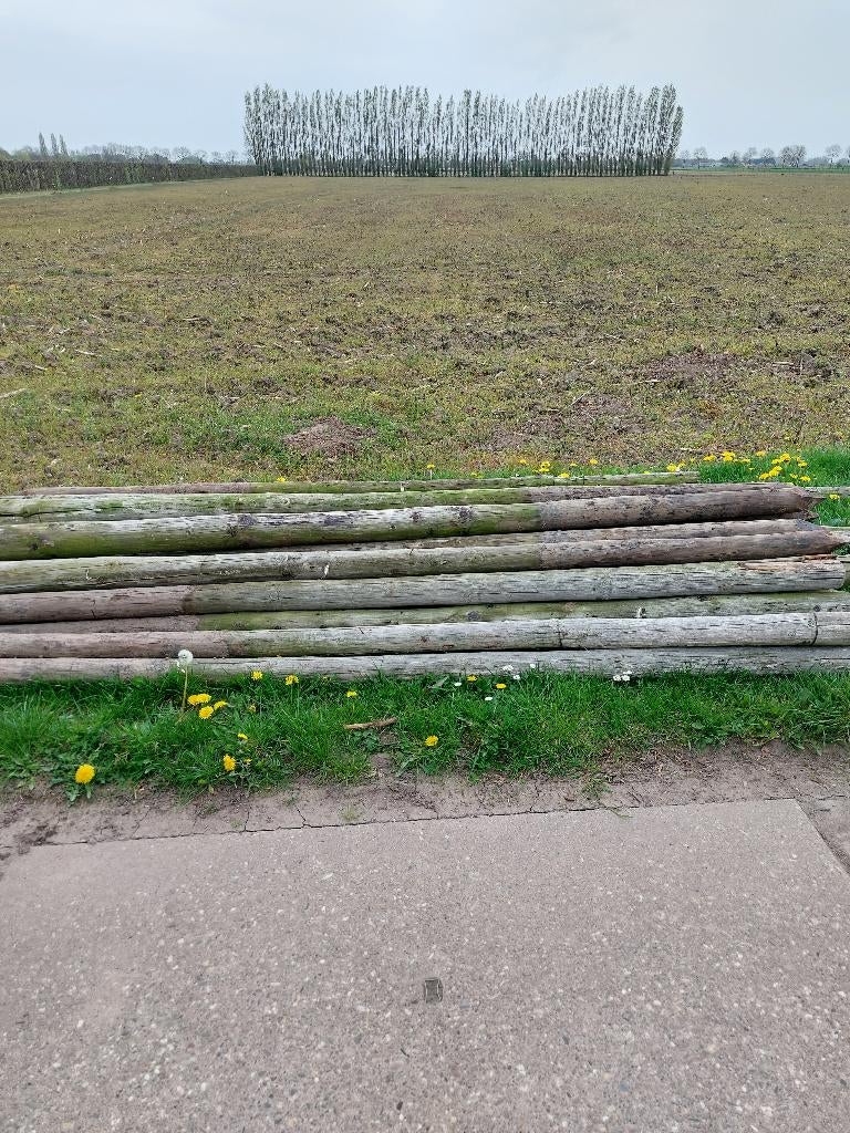 boompalen, Tuin en Terras, Palen, Balken en Planken, Ophalen, Gebruikt, 250 cm of meer, Palen