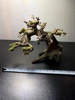 Aquarium bonsai boom, Ophalen of Verzenden, Zo goed als nieuw, Leeg aquarium