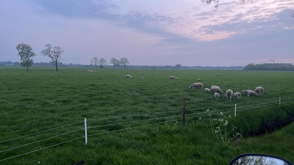 Witte stekpaaltjes en hoekpalen 1000 x, Ophalen, Gebruikt, Kunststof, Overige typen