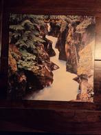 Cat stevens back to earth LP, Ophalen of Verzenden, Gebruikt, 12 inch, Poprock