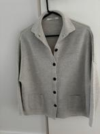 Mooie Linnebjerg Merino wol vest / trui Maat L in nieuwstaat, Kleding | Dames, Truien en Vesten, Ophalen of Verzenden, Zo goed als nieuw