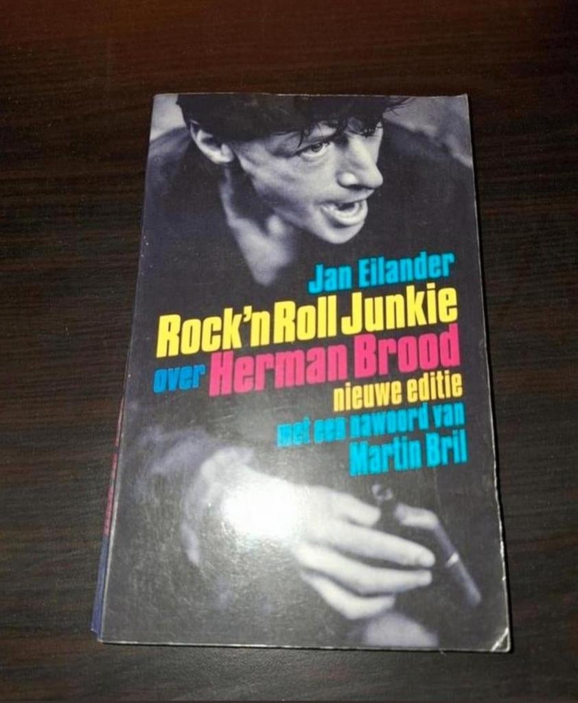 Rock'n Roll Junkie - Jan Eilander over Herman Brood, Ophalen of Verzenden, Gelezen, Jan Eilander, Kunst en Cultuur