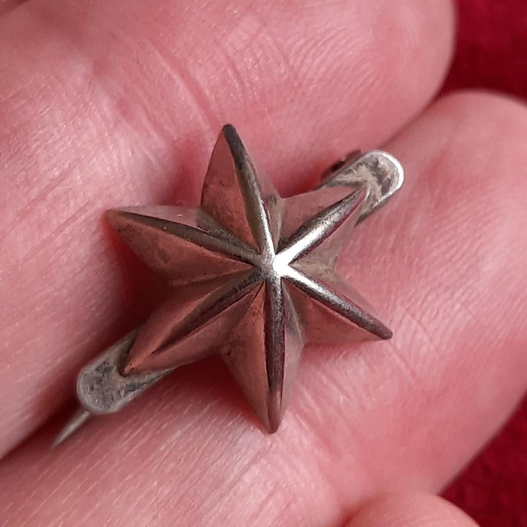 Militaire Speld STER, Verzamelen, Verzenden, Landmacht, Nederland, Embleem of Badge