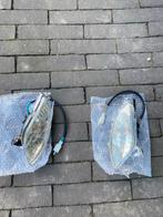 Senzo Rivalux Knipperlichten Voor, Fietsen en Brommers, Ophalen of Verzenden, Nieuw, Overige typen, Overige merken