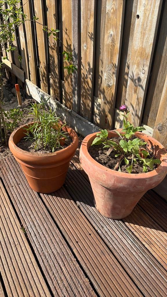 Gezocht: gratis bloempotten, Ophalen, Minder dan 30 cm, Rond, Zo goed als nieuw