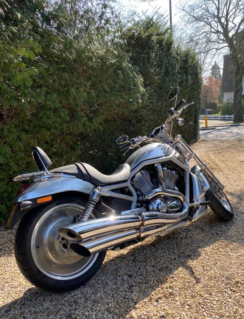 Harley-Davidson V-Rod ✅6800KM✅, Motoren, Chopper, Gebruikt, Particulier, Meer dan 35 kW