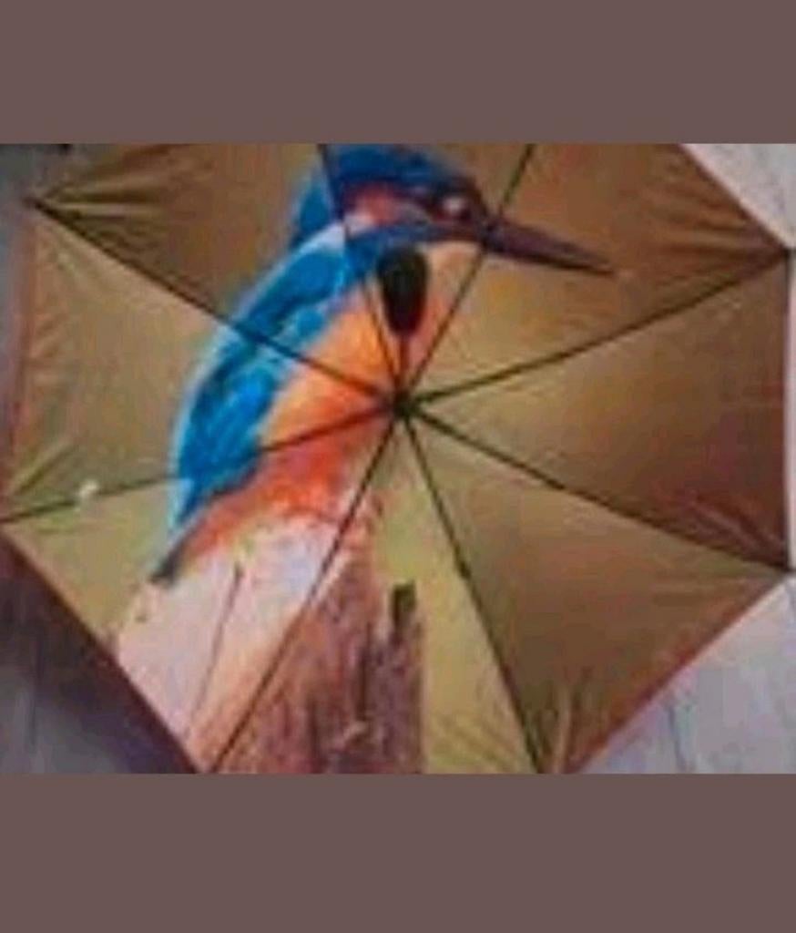 NIEUW in doos postcodeloterij paraplu ijsvogel, Sieraden, Tassen en Uiterlijk, Ophalen of Verzenden, Nieuw, Zwart