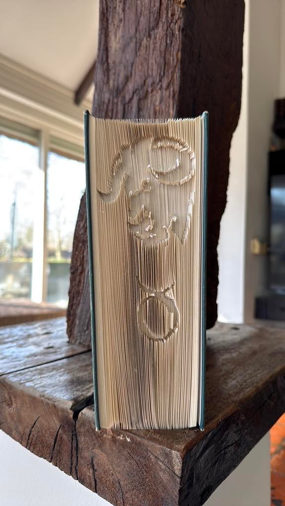 Uniek gesneden boek met sterrenbeeld (decoratief / cadeau), Ophalen, Zo goed als nieuw