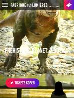 Kaartjes 1x volw en 1xkind dinosaurus, Tickets en Kaartjes, Eén persoon, Ticket of Toegangskaart