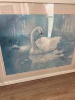 Zwaan in lijst, Antiek en Kunst, Kunst | Schilderijen | Klassiek, Ophalen of Verzenden
