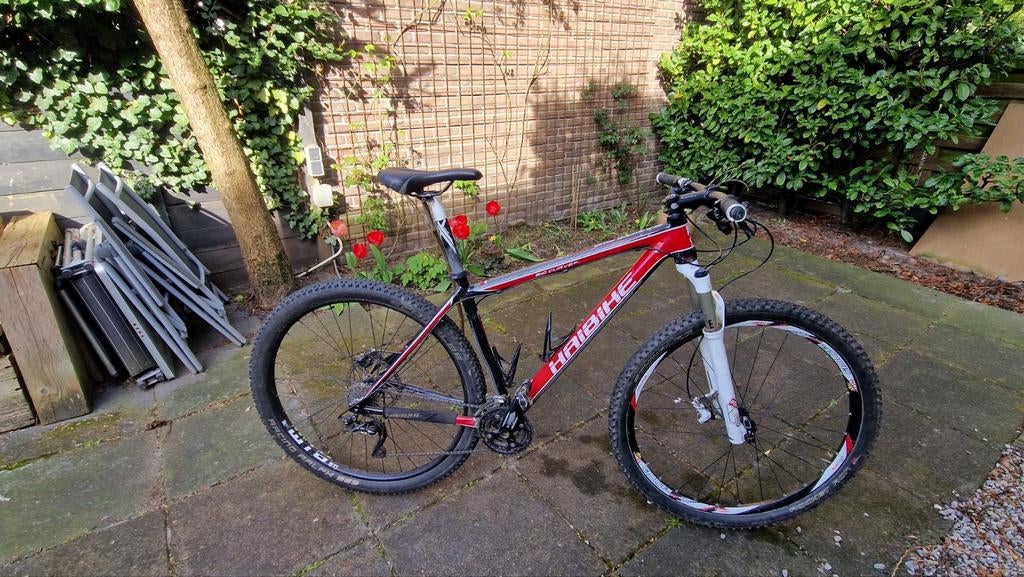 Haibike Big Curve SL 29er mountainbike, Hardtail, Ophalen, Gebruikt, Overige merken