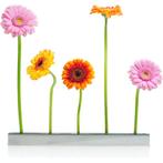 9873 :Blumenallee vaas - Design Max Kistner - XXD, Huis en Inrichting, Overige materialen, Overige kleuren, Nieuw, Ophalen of Verzenden