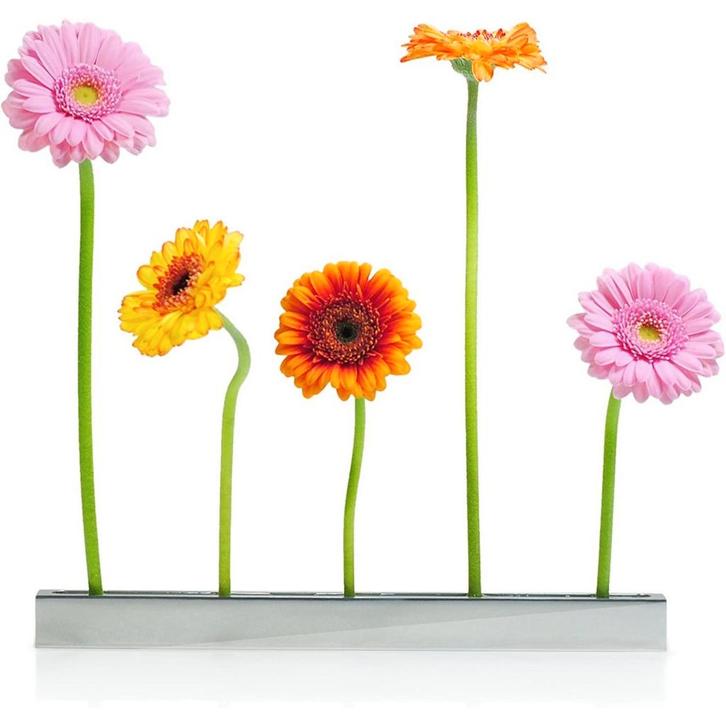 9873 :Blumenallee vaas - Design Max Kistner - XXD, Huis en Inrichting, Woonaccessoires | Vazen, Nieuw, Overige kleuren, Minder dan 50 cm