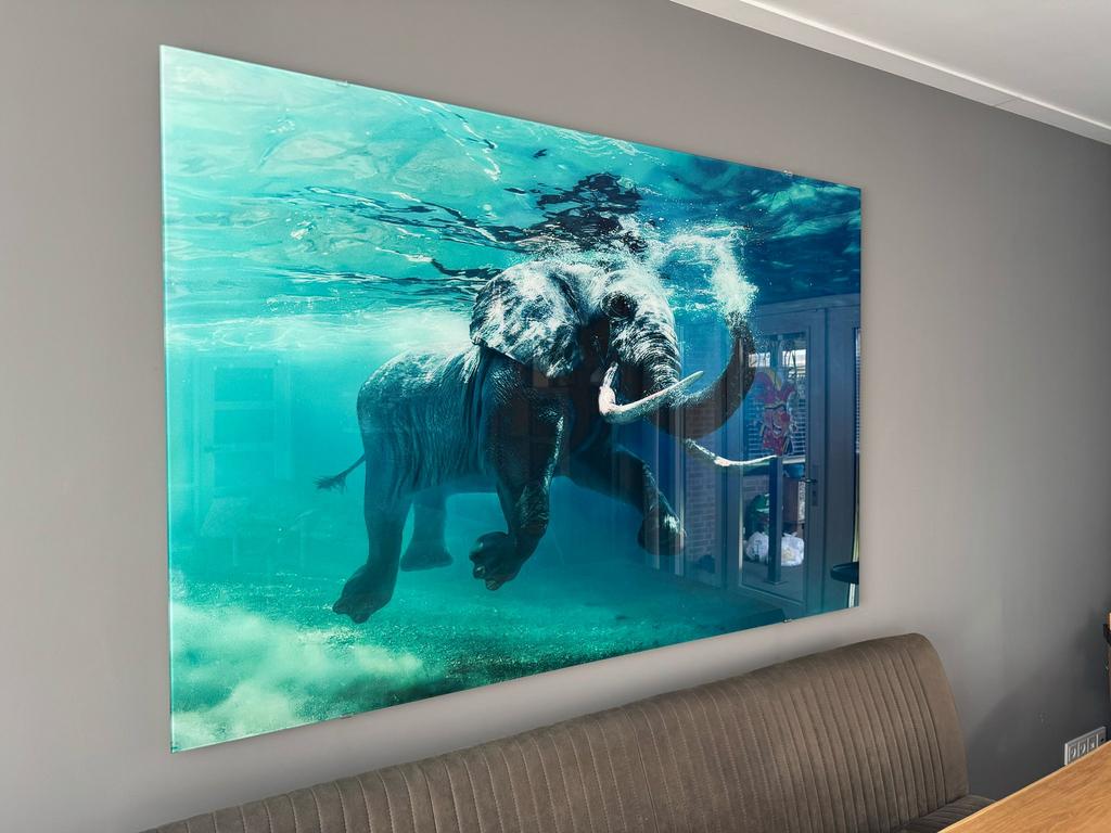 Groot schilderij water for elephants, Antiek en Kunst, Kunst | Schilderijen | Abstract, Ophalen