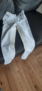 Witte paardrijbroek mt 176 met lederen beenstukken, Ophalen, Gebruikt, Kinderen, Dressuur