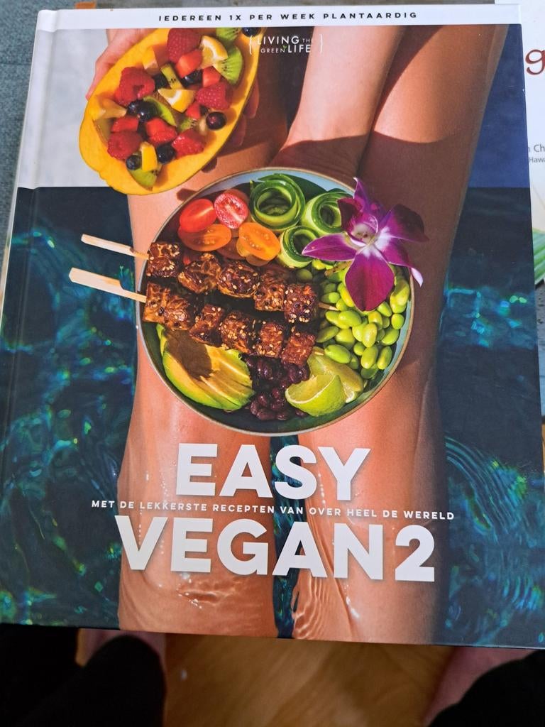 Easy vegan2, Verzenden, Zo goed als nieuw