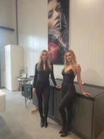 Speciaal Slagerij koelwerkbank en Vis koeltoonbank, Ophalen, Vlees