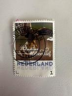 Kiekendief, Ophalen of Verzenden