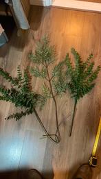 Kunstgroen/takken, Ophalen, Zo goed als nieuw