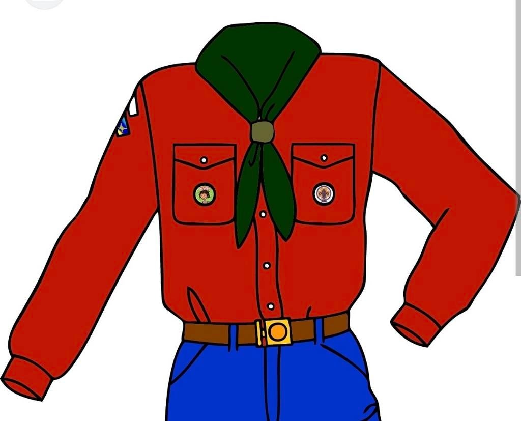 Scoutingblouse gezocht., Ophalen of Verzenden, Zo goed als nieuw, Jongen of Meisje