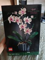 Lego Botanical Collection Orchid, Ophalen of Verzenden, Nieuw, Groter dan 1:32