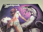 Whitesnake Lovehunter Tour Programme Coverdale Lord [Deep Pu, Ophalen of Verzenden, Zo goed als nieuw, Foto of Kaart, Nvt