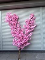 Bloesemboom, Ophalen, Nieuw, Binnen