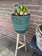 Bloempot op standaard met bloembollen, Ophalen, Kunststof, Gebruikt, Rond