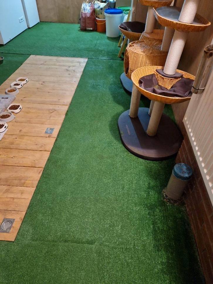 Klusser gezocht voor renoveren vloer, Doe-het-zelf en Verbouw, Overige Doe-het-zelf en Verbouw, Nieuw, Ophalen