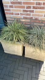 Buiten plantenbak 2 stuks steen, Ophalen, Vierkant, Steen, Minder dan 60 cm
