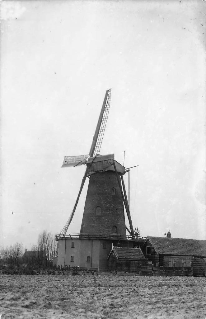 AZ279 Fotokaart molen Veere polder Zeeland, Verzamelen, Ansichtkaarten | Nederland, Ongelopen, Zeeland, 1940 tot 1960, Verzenden