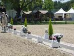 dressuurpiste van Heritage Products, Dieren en Toebehoren, Ophalen, Gebruikt, Dressuur