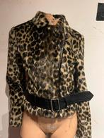 Twinset teddy jas met ceintuur maat xs origineel zgan, Twinset, G, Ophalen of Verzenden, Zo goed als nieuw