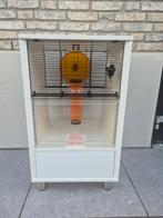 Omlet hamsterkooi, Ophalen, Kooi, Gebruikt, 60 tot 90 cm