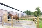 Gezocht schuur met wei/paarden accommodatie in eigen beheer, Verzenden