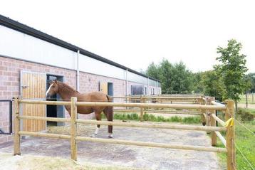 Gezocht schuur met wei/paarden accommodatie in eigen beheer  beschikbaar voor biedingen
