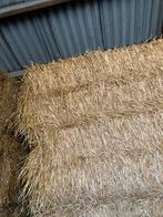 Dierbenodigdheden, Ophalen of Verzenden, Vee