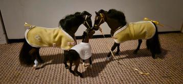 Grand Champion Familie Compleet  beschikbaar voor biedingen