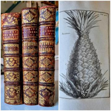 1719,l, J.P. Tournefort: INSTITUTIONES REI HERBARIAE beschikbaar voor biedingen