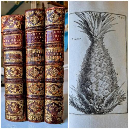 1719,l, J.P. Tournefort: INSTITUTIONES REI HERBARIAE, Antiek en Kunst, Antiek | Boeken en Bijbels, Verzenden